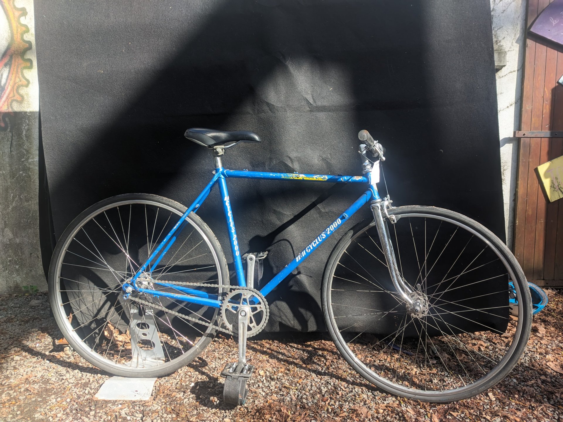 Cyclus 2000
